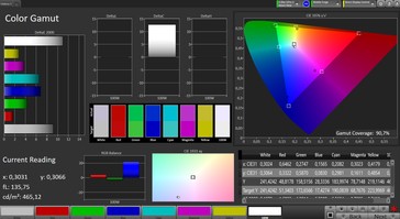 CalMAN: Spazio colore - Profilo standard, spazio colore target sRGB
