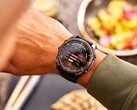 Garmin Connect+ è stato ampliato per includere la registrazione della nutrizione. (Fonte: Garmin)