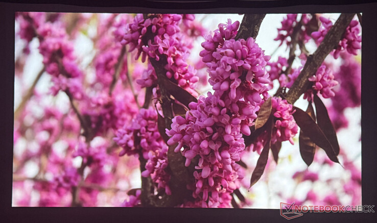Qualità dell'immagine Nebula P1 in una stanza buia (Fonte immagine: Pexels)