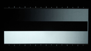Minore dithering della scala di grigi, per lo più impercettibile nell'uso normale, tranne che in alcune aree piatte e ombreggiate. (Fonte immagine: Notebookcheck)