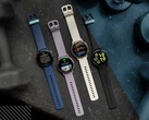 Il Garmin Vivoactive 5 può ora ricevere l'aggiornamento beta pubblico versione 8.27. (Fonte: Garmin)