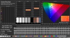 CalMAN: ColorChecker (calibrato)