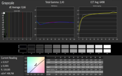 CalMAN scala di grigi calibrato