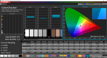 CalMAN ColorChecker (spazio colore target sRGB, macOS)