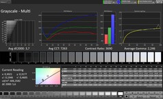 Scala di grigi CalMAN