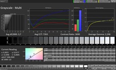 Scala di grigi CalMAN