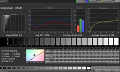 CalMAN: Scala di grigi