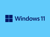Microsoft e Phison non sono stati in grado di riprodurre il problema nei loro test (fonte: Microsoft)