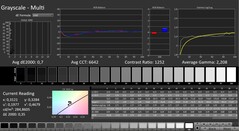 CalMAN: Scala di grigi (calibrata)