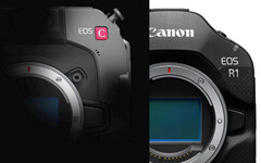 L'annunciata fotocamera cinematografica di Canon sembra presentare alcuni aggiornamenti simili a quelli della EOS R1. (Fonte immagine: Canon - modificato)