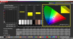 CalMAN ColorChecker (profilo: P3, spazio colore di destinazione: P3)