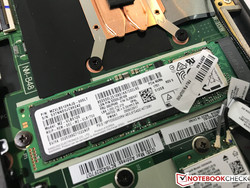L'SSD M.2.2280 SSD è sostituibile dall'utente.