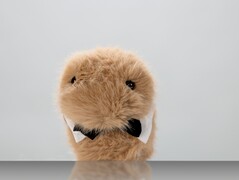 Dieter (Fonte immagine: ZKM Karlsruhe)