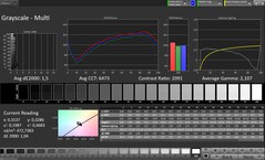 Scala di grigi (profilo: naturale, spazio colore di destinazione: sRGB)