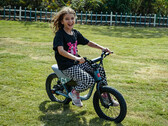 L'e-bike Himiway C1 è stata progettata per i bambini. (Fonte: Himiway)