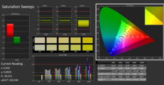 CalMan ColorChecker: saturazione