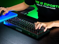 Il Blackwidow V4 Tenkeyless HyperSpeed. (Fonte: Razer)