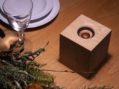 Il diffusore wireless JVCKenwood WDS-01 utilizza il legno per il cabinet e il driver. (Fonte: JVCKenwood)