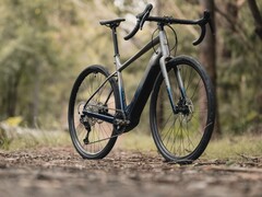 La Marin Bikes Lombard E è dotata di un motore Bosch SX Spring (Fonte: Marin Bikes)