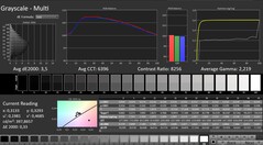 CalMAN: scale di grigi (calibrate)