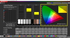 CalMAN ColorChecker calibrato