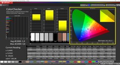 CalMAN ColorChecker calibrato (spazio colore target P3)