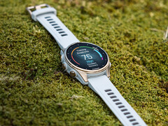 Al momento non è chiaro quando inizierà la spedizione dell'aggiornamento Q1 2025 di Garmin. (Fonte: Garmin)