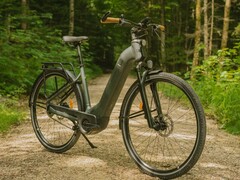 La Decathlon Rockrider E-ACTV 900 (nella foto) è una delle biciclette elettriche interessate da un recente richiamo. (Fonte: Decathlon)