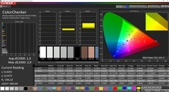 CalMAN ColorChecker (spazio colore target P3)