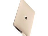 Non ci sono ancora prove concrete che suggeriscano che un nuovo MacBook da 12 pollici sia in fase di sviluppo. (Fonte immagine: Apple)