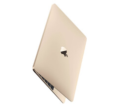 Non ci sono ancora prove concrete che suggeriscano che un nuovo MacBook da 12 pollici sia in fase di sviluppo. (Fonte immagine: Apple)