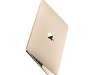 Non ci sono ancora prove concrete che suggeriscano che un nuovo MacBook da 12 pollici sia in fase di sviluppo. (Fonte immagine: Apple)