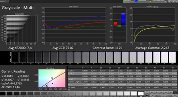 CalMAN: Scala di grigi - Ampio profilo di gamma cromatica, spazio colore target sRGB