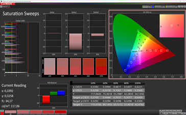 CalMAN: Saturazione Colore - spazio colore target sRGB