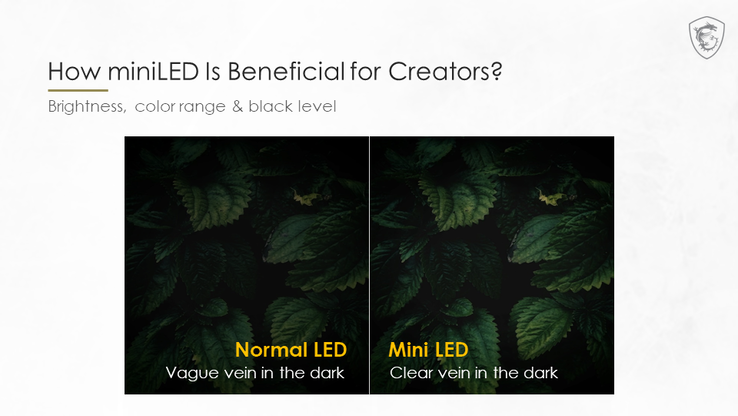 L'oscuramento locale a mini-LED aiuta a correggere le vene delle foglie nelle zone scure. (Fonte immagine: MSI)