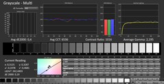 CalMAN: scala di grigi (calibrata)