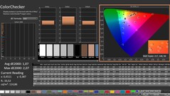 CalMAN: ColorChecker (calibrato)