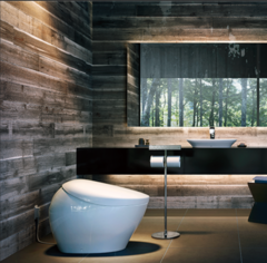 Un produttore giapponese di toilette potrebbe trarre grandi vantaggi dal boom dell'AI in corso