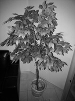 Telecamera per la visione notturna