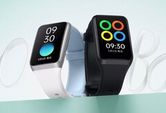 L'Oppo Band 2 ha un display AMOLED da 1,57 pollici con una luminosità massima di 500 nit. (Fonte: Oppo)