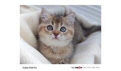 Un campione della fotocamera dello Z50 Pro. (Fonte: Nubia)