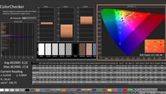 CalMAN: ColorChecker (calibrato)