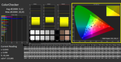 CalMAN - ColorChecker (calibrato)