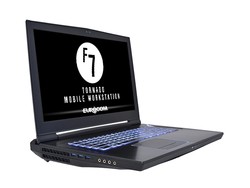 Recensione: Eurocom Tornado F7W. Modello di test fornito da Eurocom