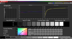 CalMAN scala di grigi calibrata