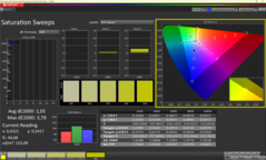 Saturazione calibrata