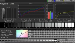 Scala di grigi CalMAN