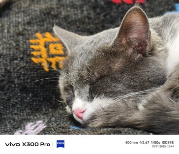 Vivo X300 Pro 400 mm con tele-convertitore.