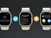 È ora possibile utilizzare ChatGPT su un orologio Apple. (Fonte: Hidde van der Ploeg)
