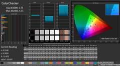 CalMAN: ColorChecker (calibrato)